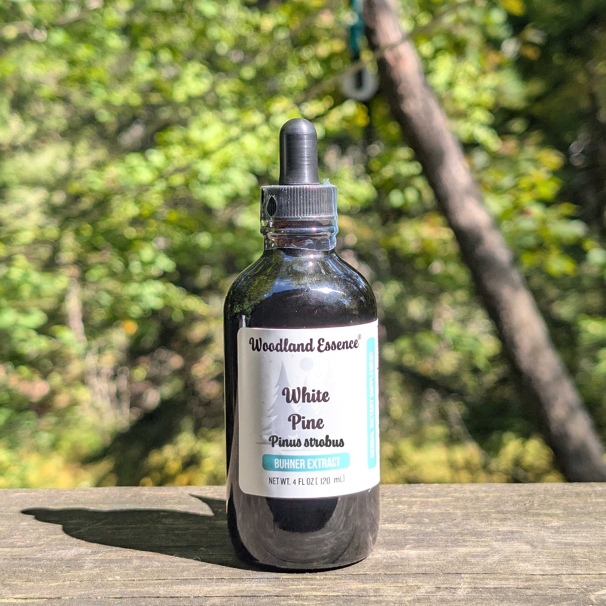Bottle of Woodland Essence White Pine tincture on a wooden surface with a natural background
