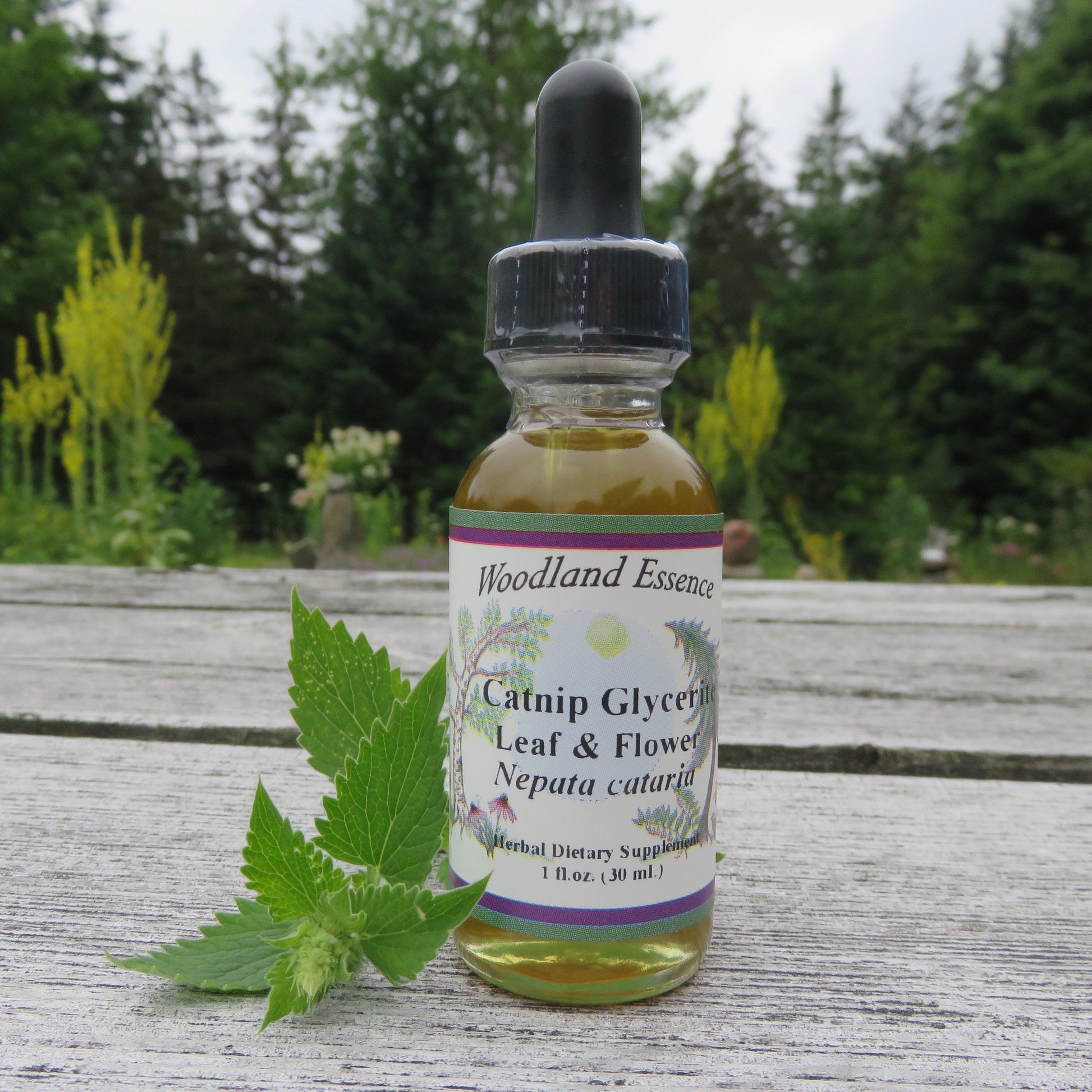 Bottle of Catnip Glycerite with catnip stem on picnic table 