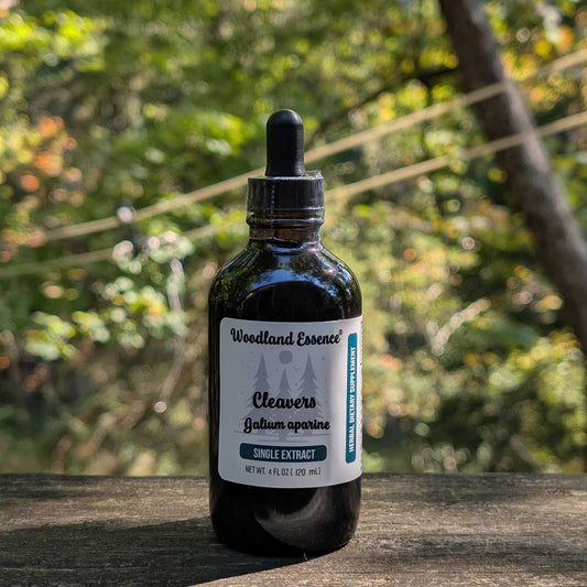 Bottle of Woodland Essence tincture on a wooden surface with a blurred natural background