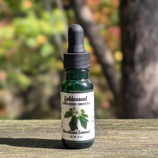 A small glass dropper bottle labeled 'Goldenseal Flower Essence Concentrate' stands on a weathered wooden surface outdoors, with blurred trees and foliage in the background.