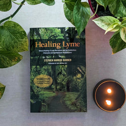 healing lyme book 