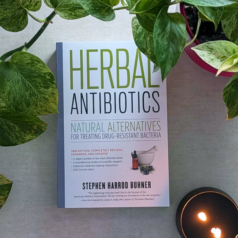 herbal antibiotics book 