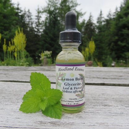 Bottle of Lemon Balm Glycerite on picnic table with lemon balm leaf 
