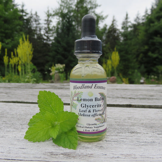Bottle of Lemon Balm Glycerite on picnic table with lemon balm leaf 