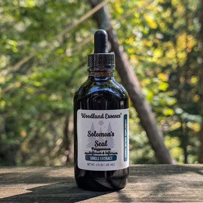 Bottle of Woodland Essence Solomon's Seal extract on a wooden surface with a natural background