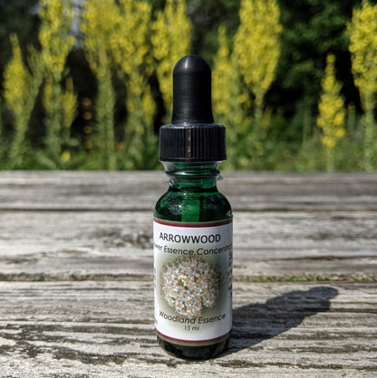 bottle of Arrowwood Flower Essence on picnic table 
