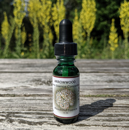 bottle of Arrowwood Flower Essence on picnic table 