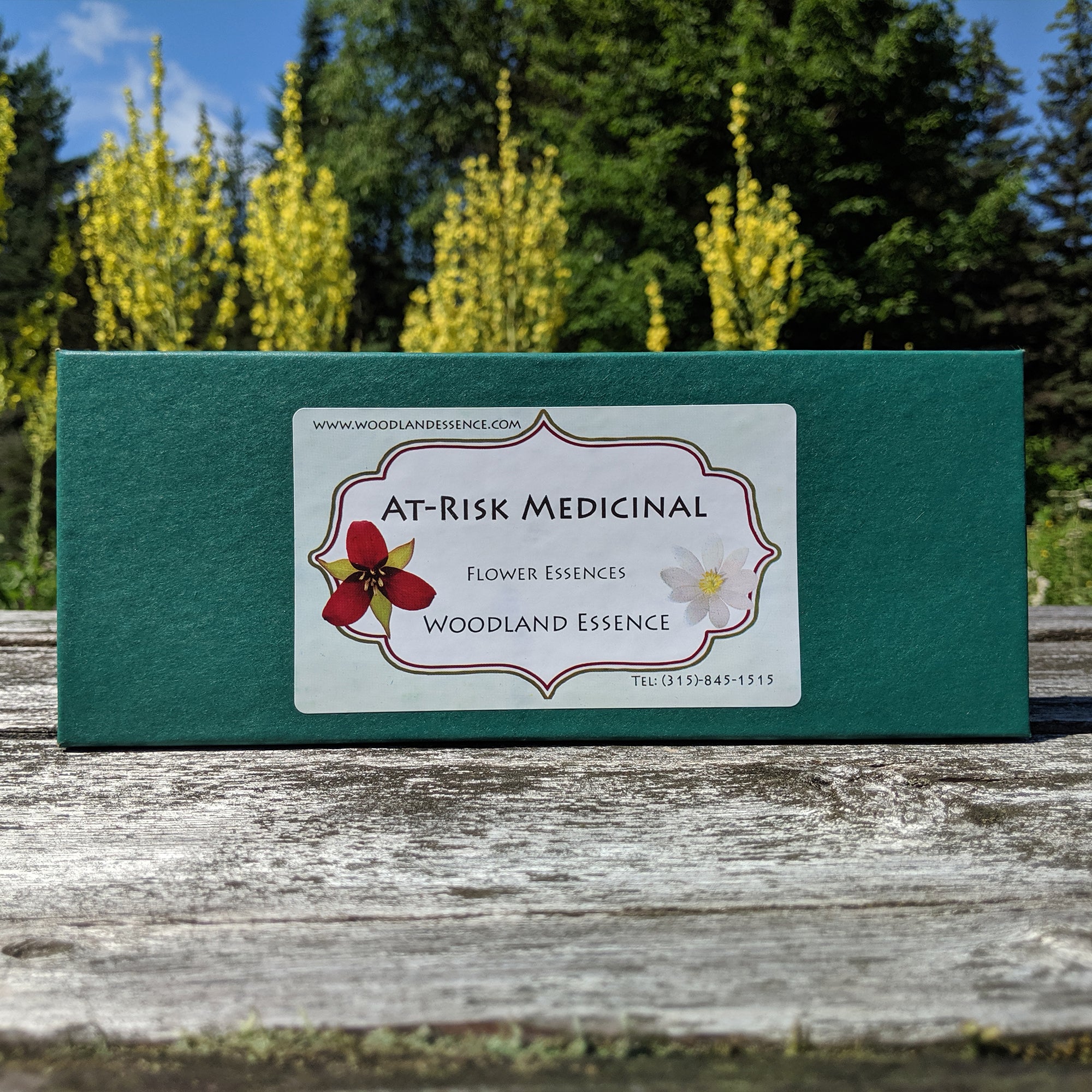 Set of AtRisk Flower Essences Woodland Essence