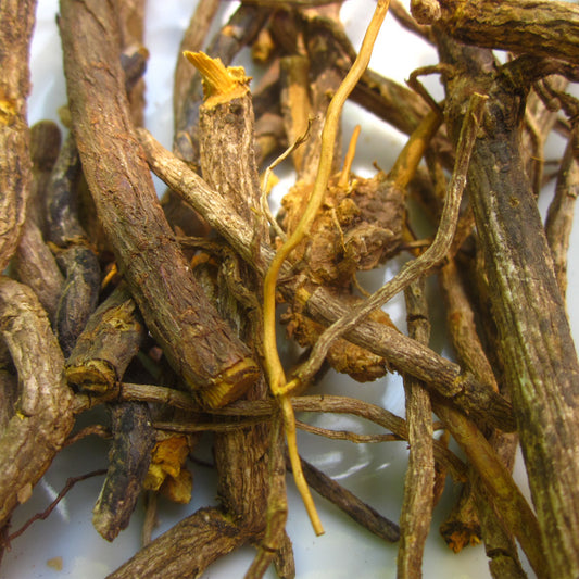 Close up of Cryptolepis roots 