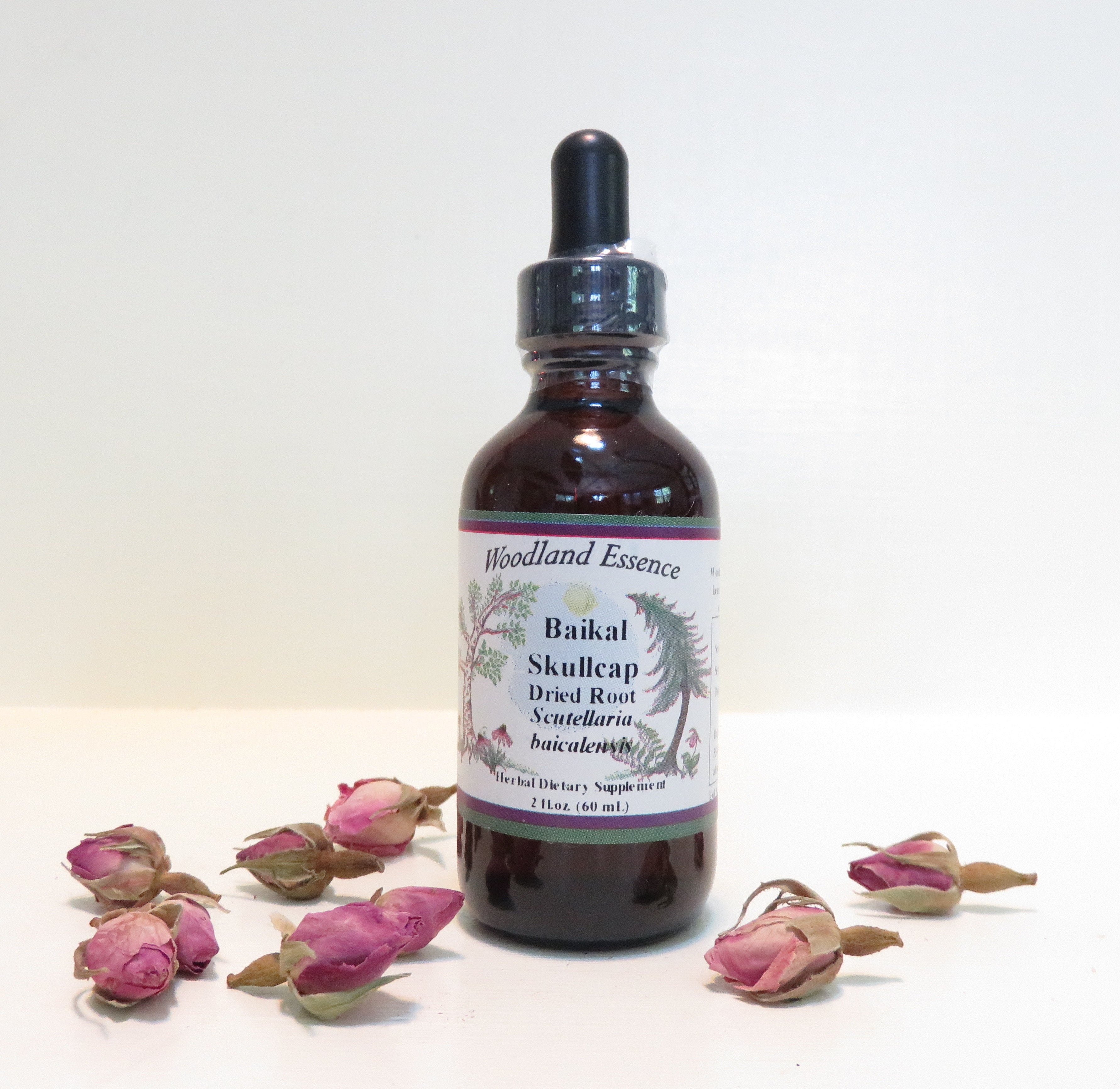 Baikal Skullcap (Chinese Skullcap) Extract – Woodland Essence