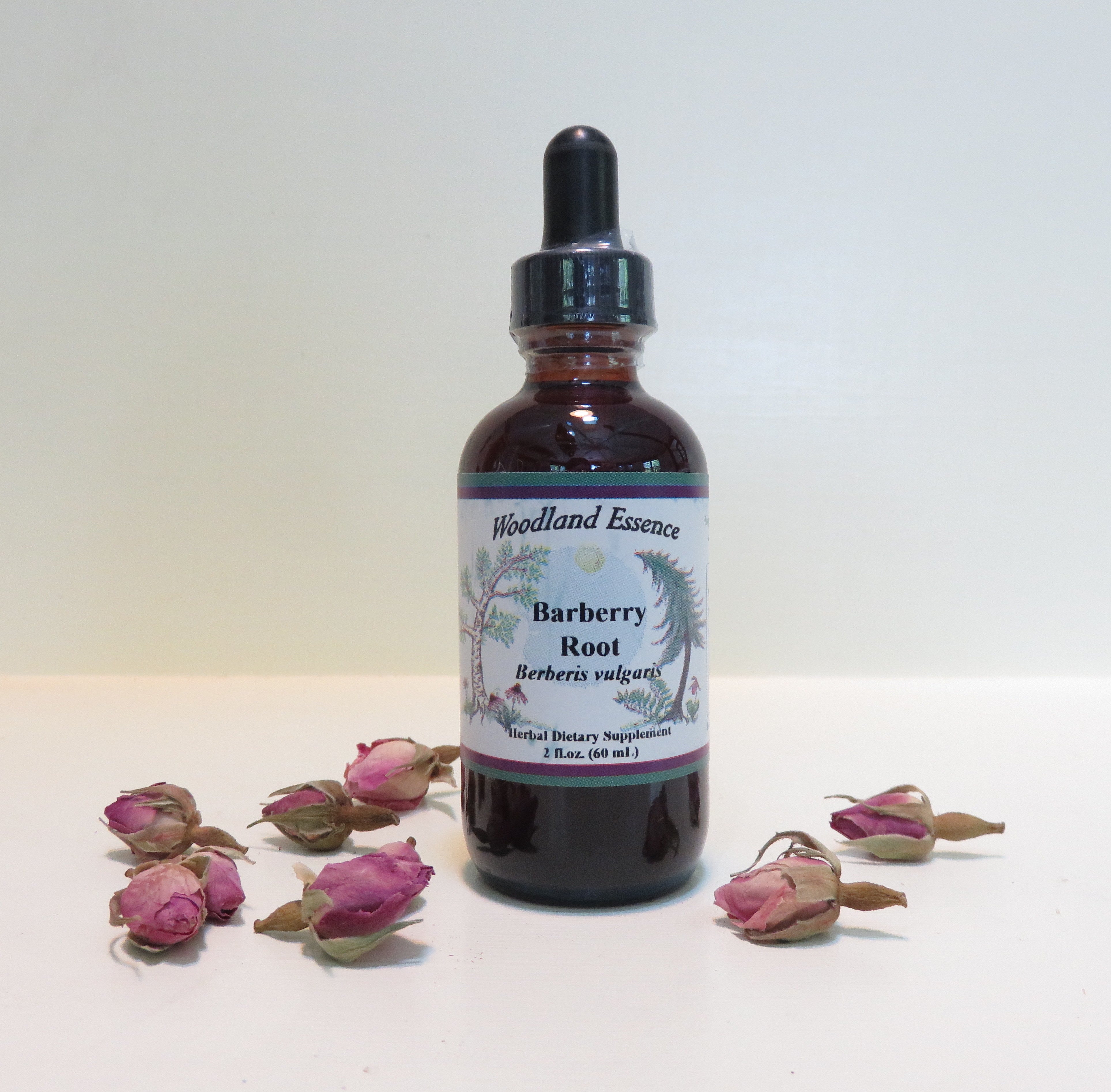 barberry-extract-woodland-essence
