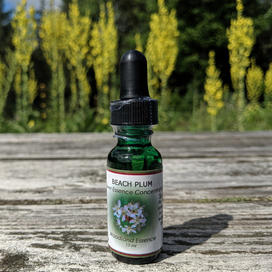 Bottle of Beach Plum Flower Essence on picnic table 