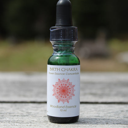 Birth Chakra Flower Essence bottle on picnic table 