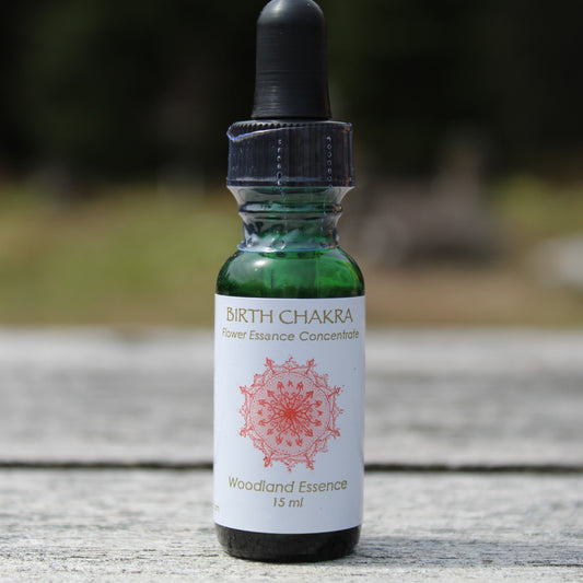 Birth Chakra Flower Essence bottle on picnic table 