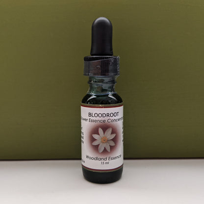 Bloodroot Flower Essence bottle against green background 