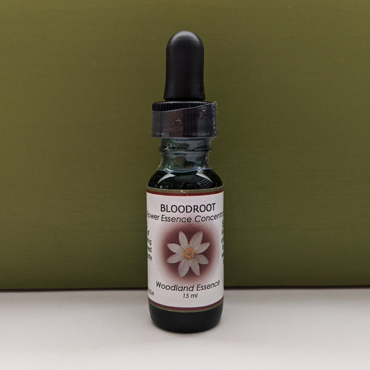 Bloodroot Flower Essence bottle against green background 