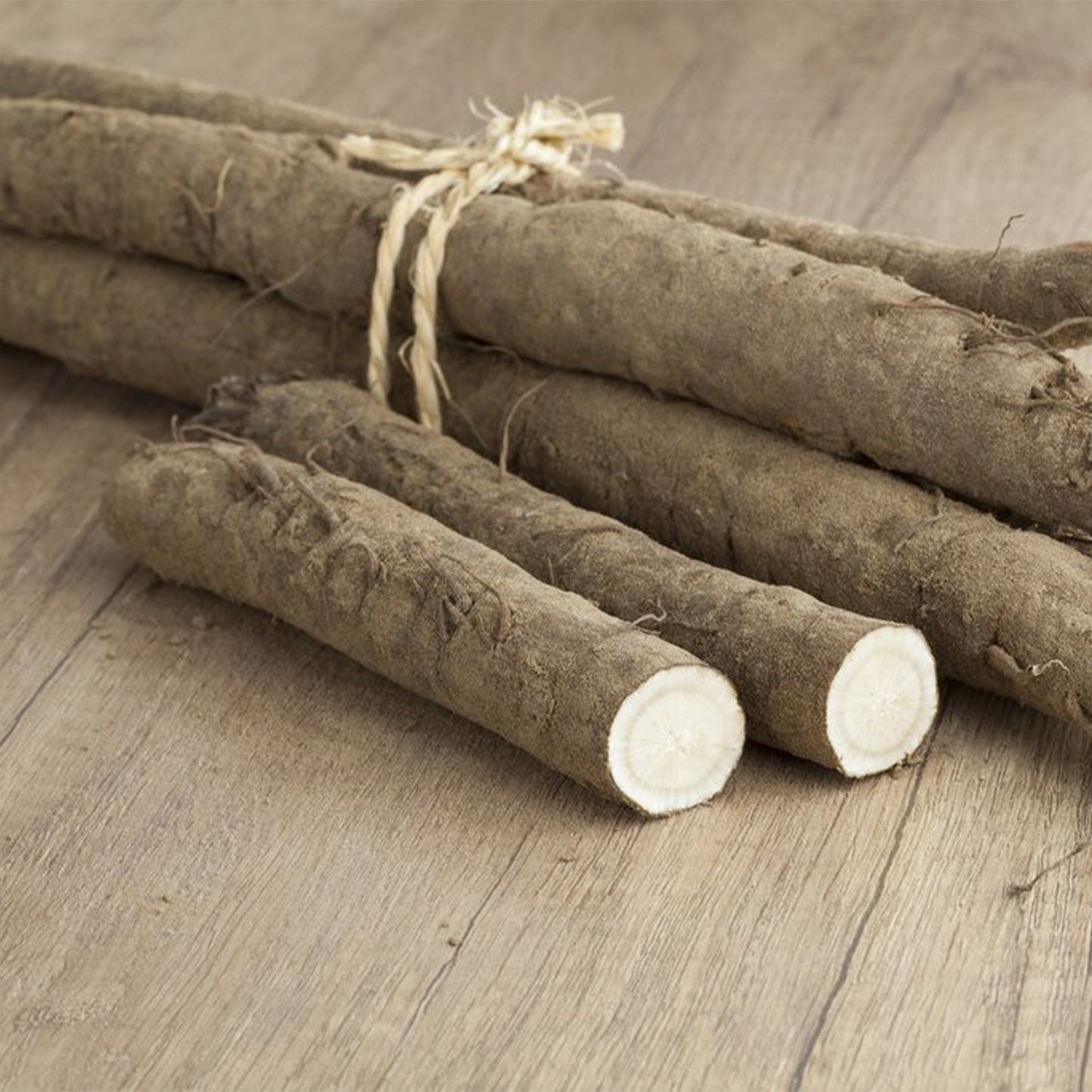 Brown Burdock roots tied together with twine 