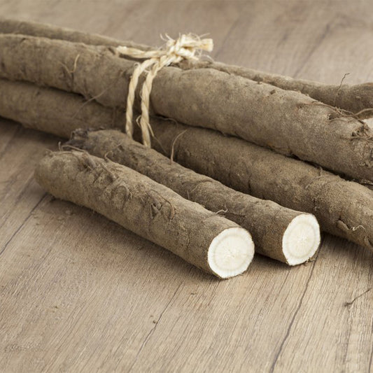 Brown Burdock roots tied together with twine 