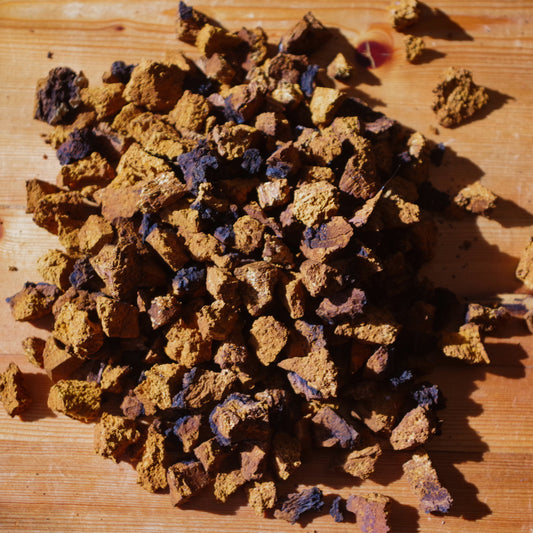 Brown Chaga Conk chunks 