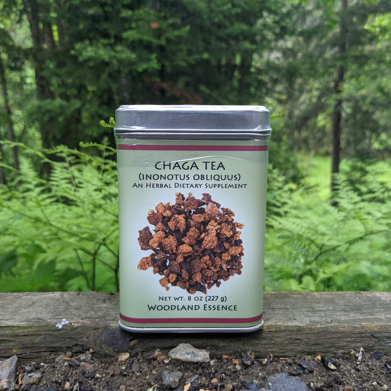 8 oz tin of Chaga Tea against woods background
