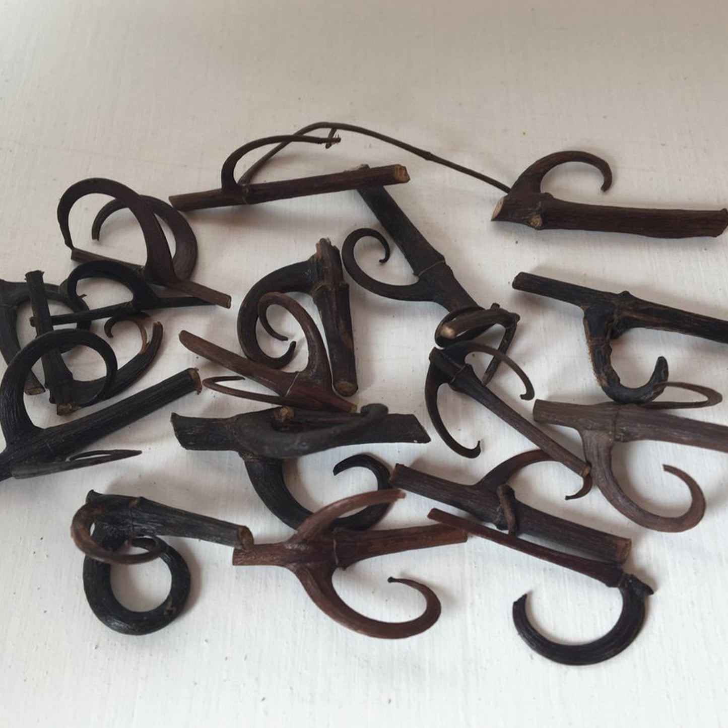 Brown Chinese Cat's claw vine and hook pieces against white background 
