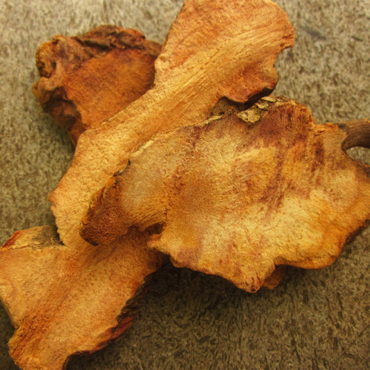 Flat orange Chinese Sarsparilla roots 