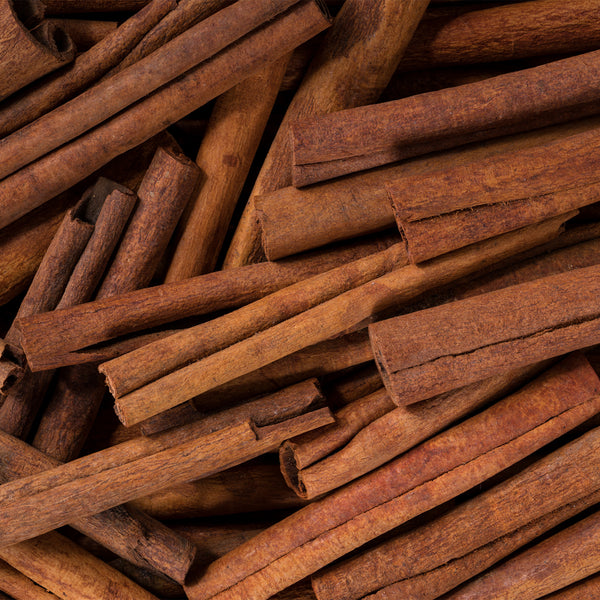 Cinnamon sticks up close 