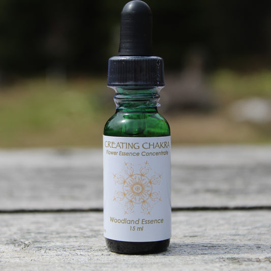 Bottle of Creating Chakra Flower Essence on picnic table 