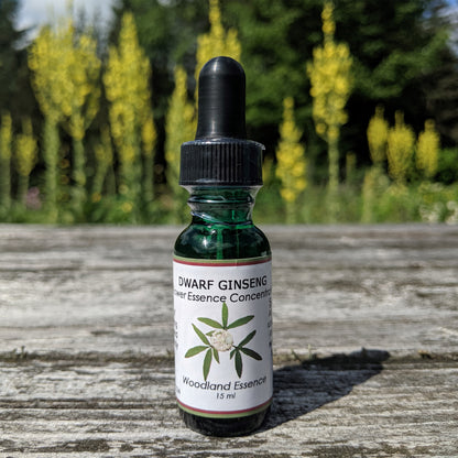 Dwarf Ginseng bottle on picnic table 