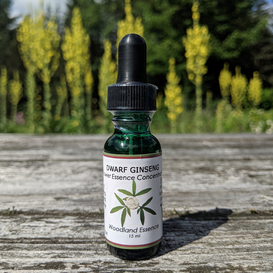 Dwarf Ginseng bottle on picnic table 