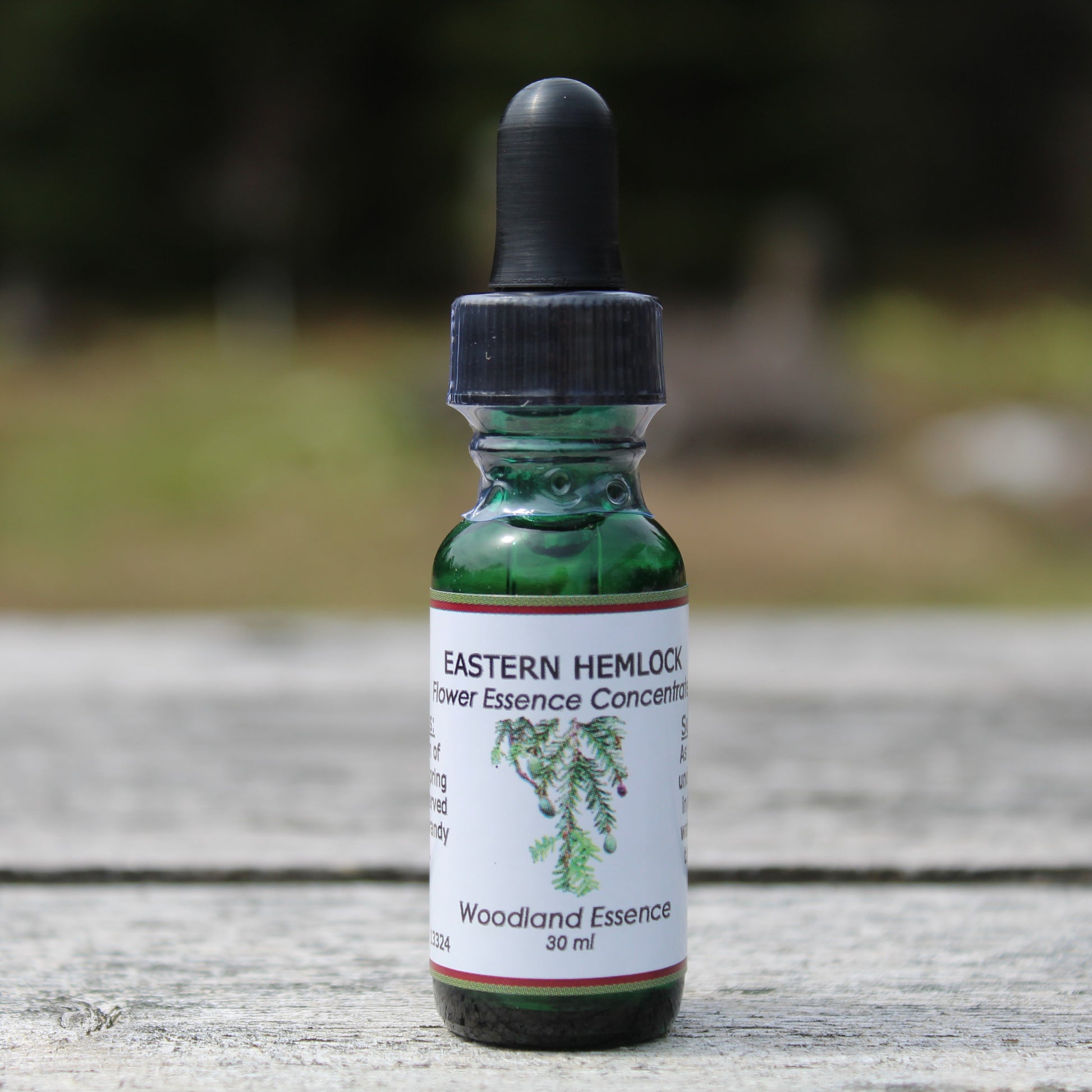 Bottle of Eastern Hemlock on picnic table