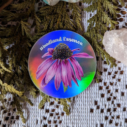 Holographic Echinacea Sticker