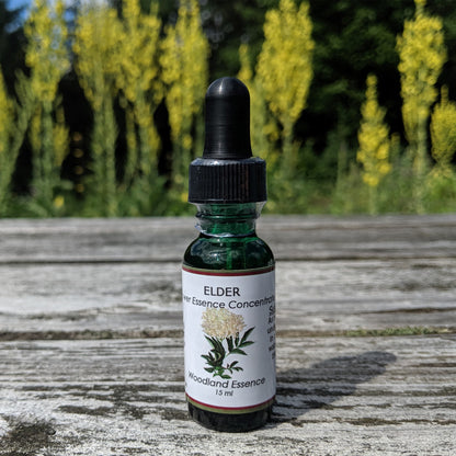 Elder Flower Essence bottle on picnic table 