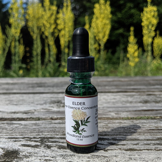Elder Flower Essence bottle on picnic table 