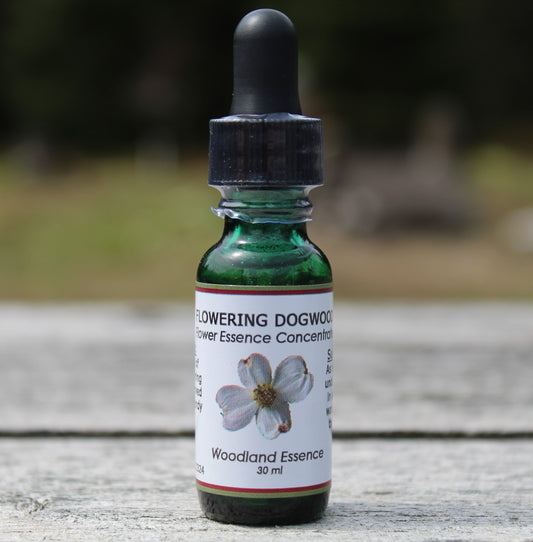 Flowering Dogwood Flower Essence bottle on picnic table 