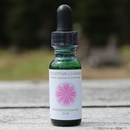 Bottle of Fountain Chakra Flower Essence on picnic table 