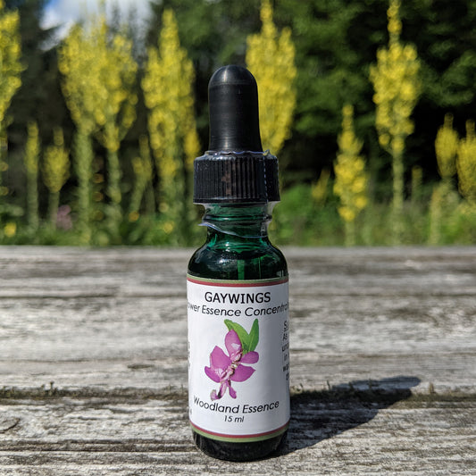 Gaywings Flower Essence bottle on picnic table 