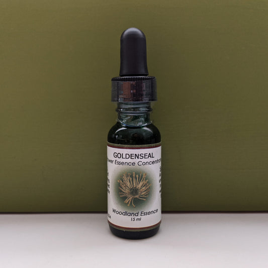 Goldenseal Flower Essence bottle against green background 