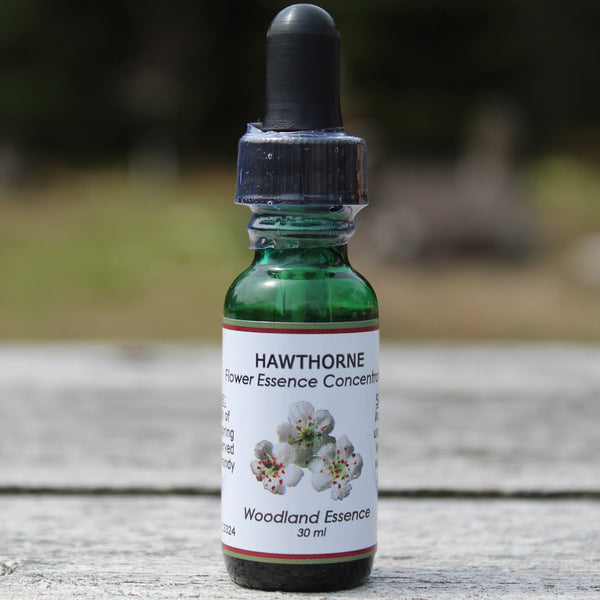 Bottle of Hawthorne Flower Essence on picnic table  