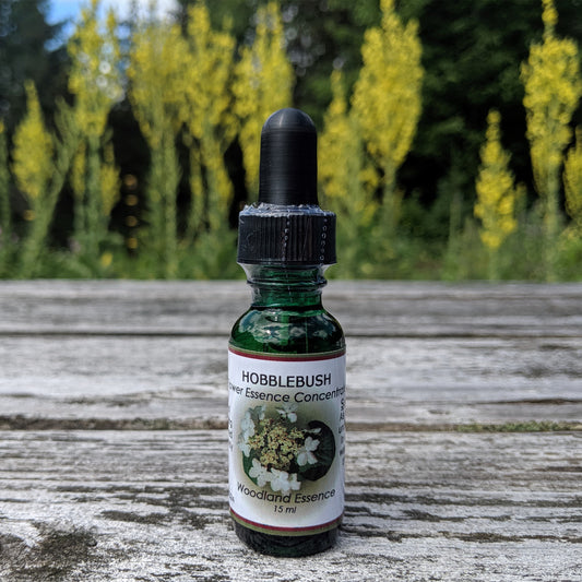 Bottle of Hobblebush Flower Essence on picnic table  