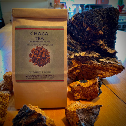 Bag of Chaga with chaga chunks 