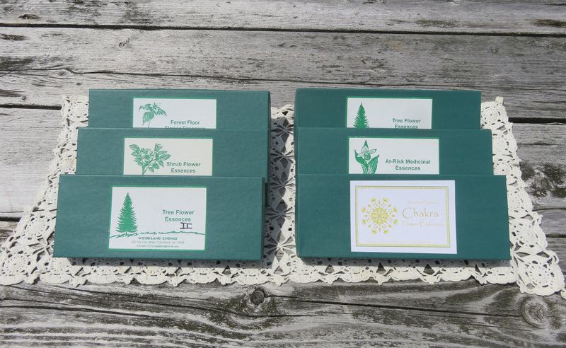 6 green boxes of entire collection of Flower Essences on picnic table