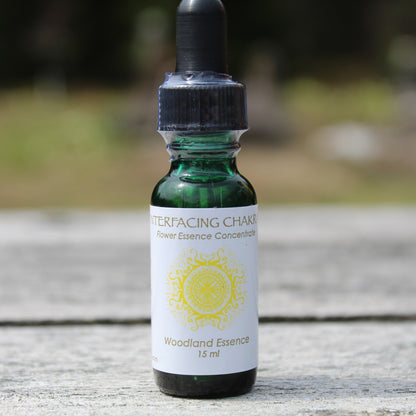 Bottle of Interfacing Chakra Essence on picnic table 