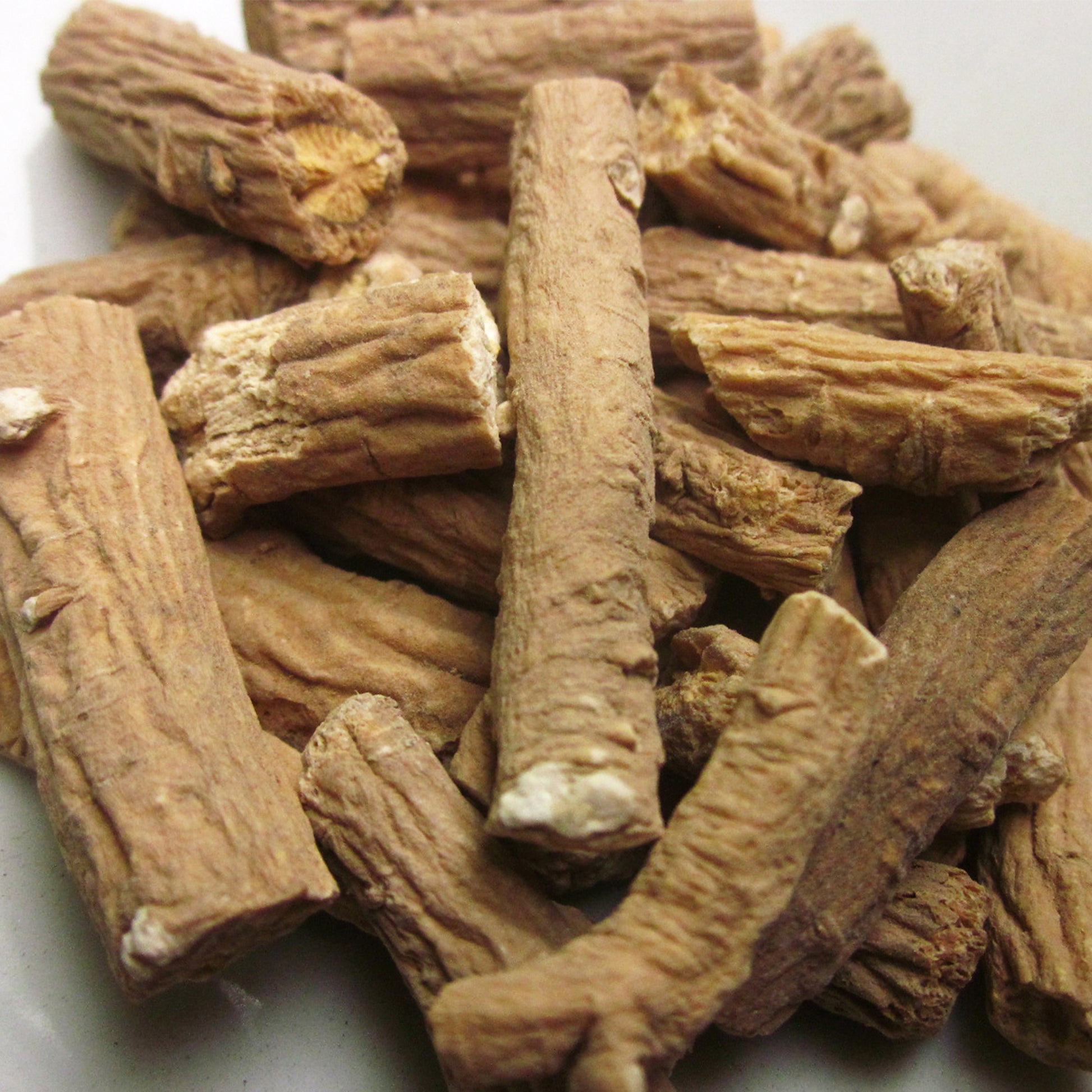 Close up of Isatis root cuttings 