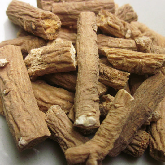 Close up of Isatis root cuttings 