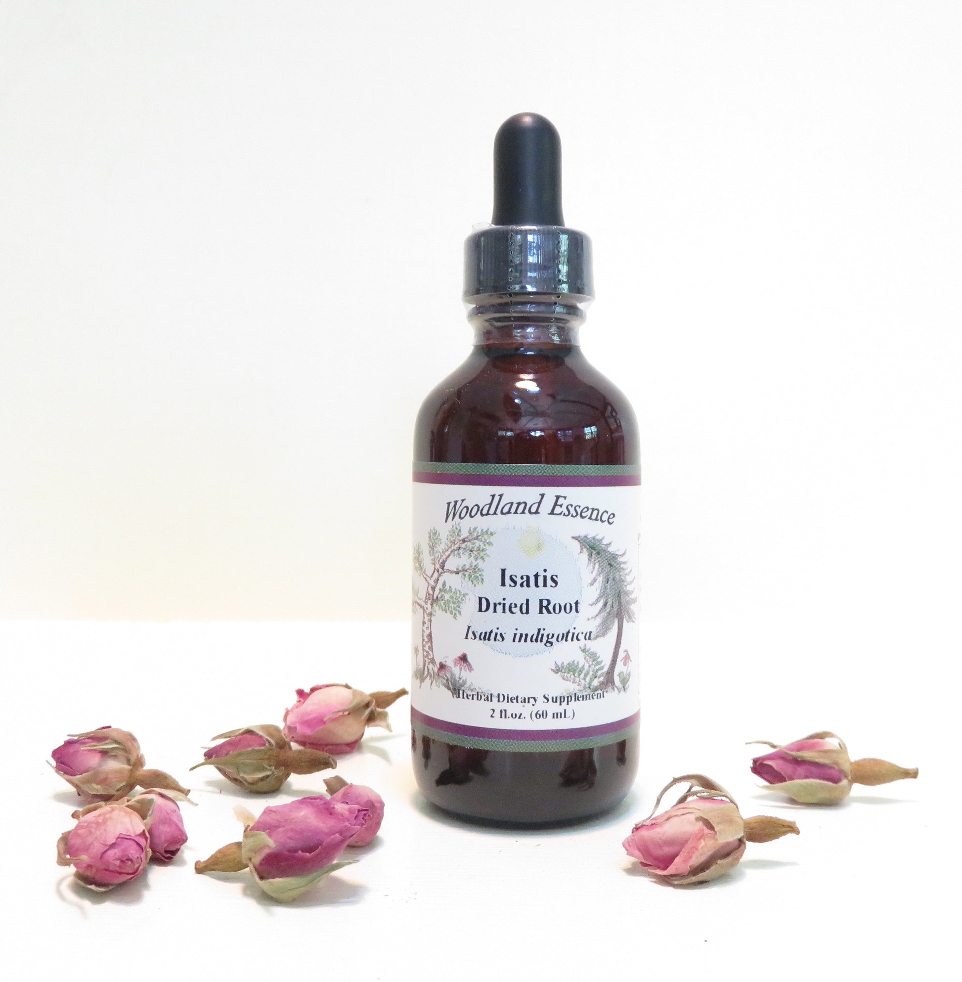 Bottle of Isatis root 