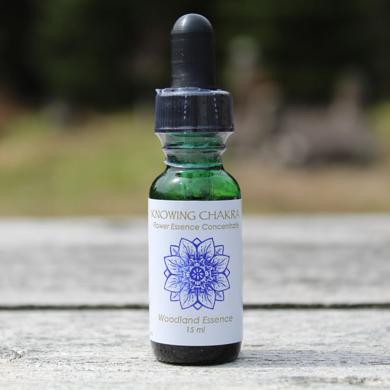 Bottle of Knowing Chakra Flower Essence on picnic table 