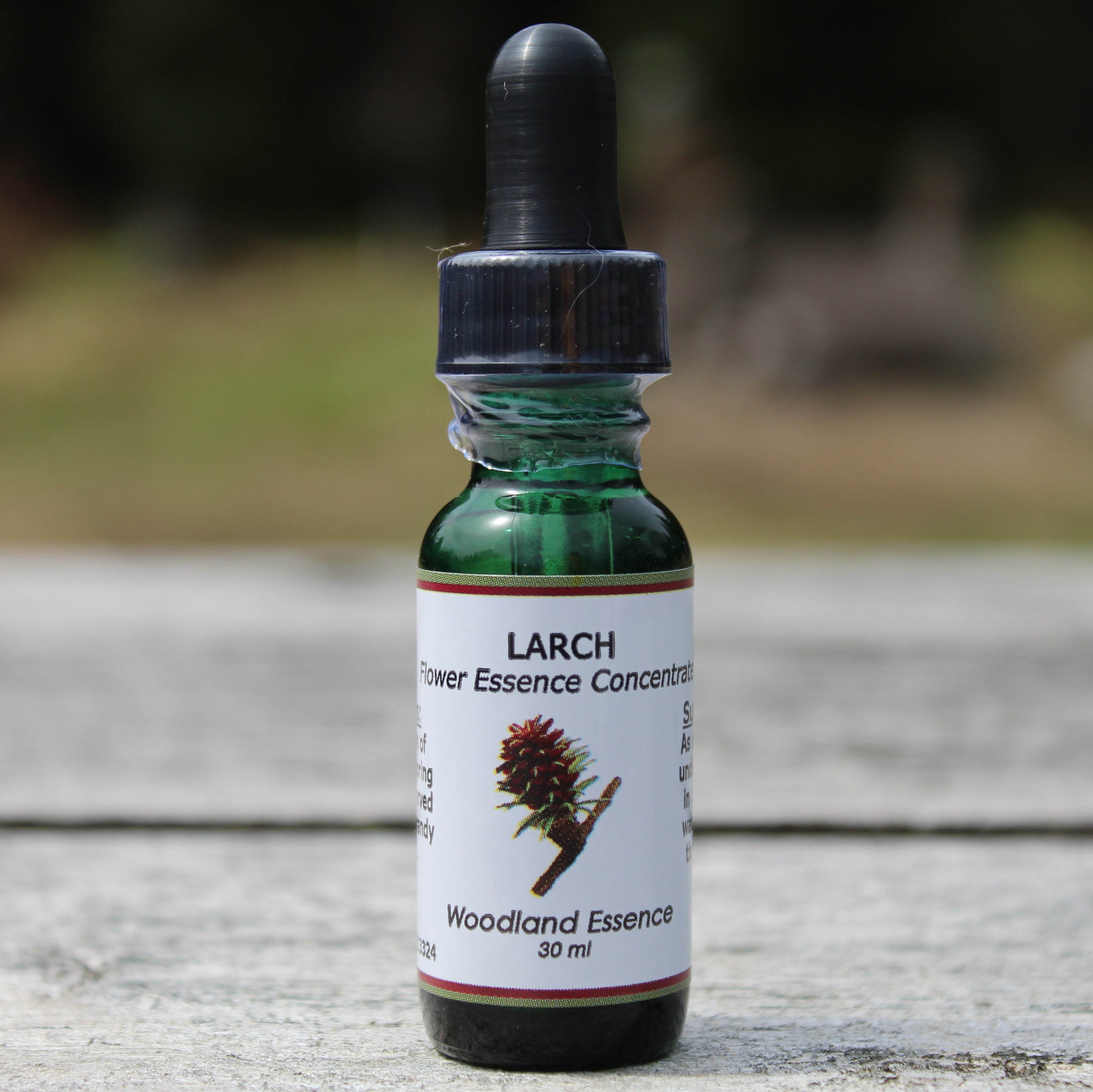 Larch Flower Essence Woodland Essence