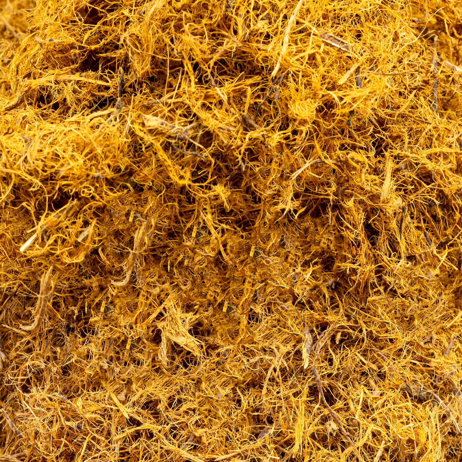 Shredded Cryptolepis Roots 