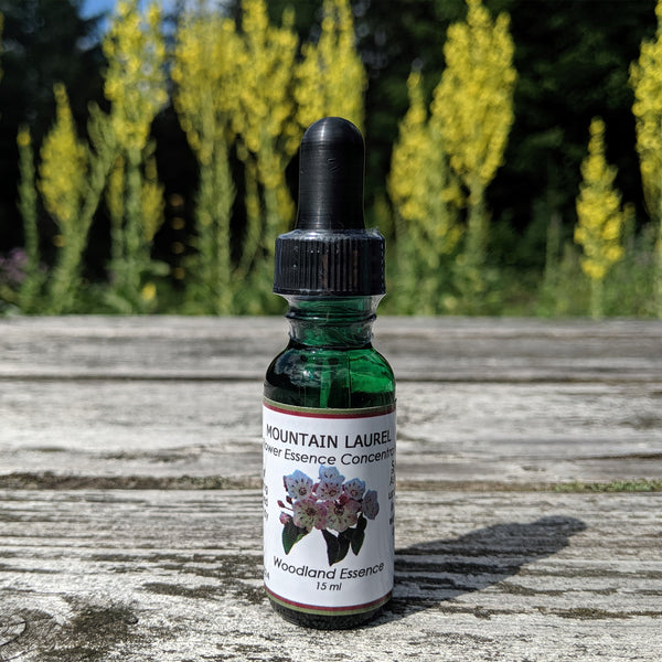 Bottle of Mountain Laurel Flower Essence on picnic table 